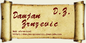 Damjan Zrnzević vizit kartica